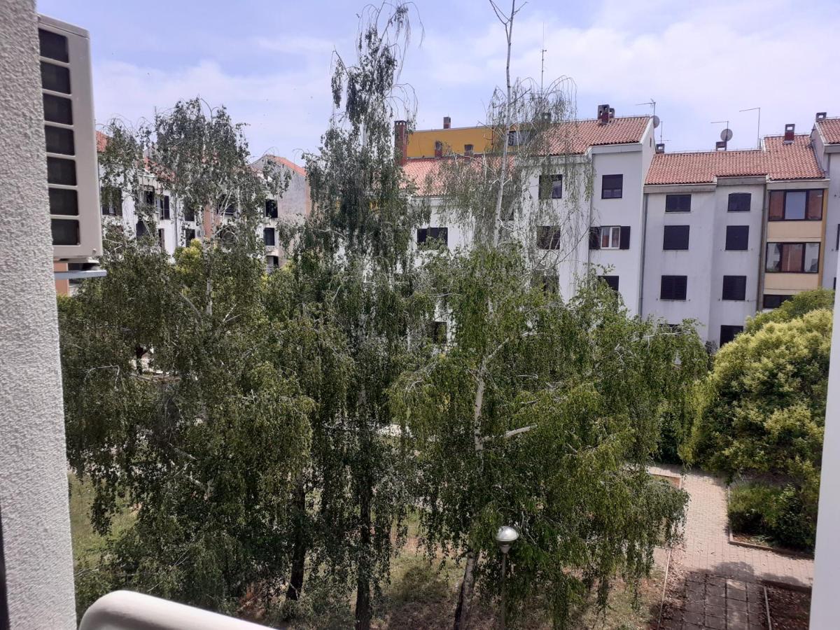 Apartment App Kolar *